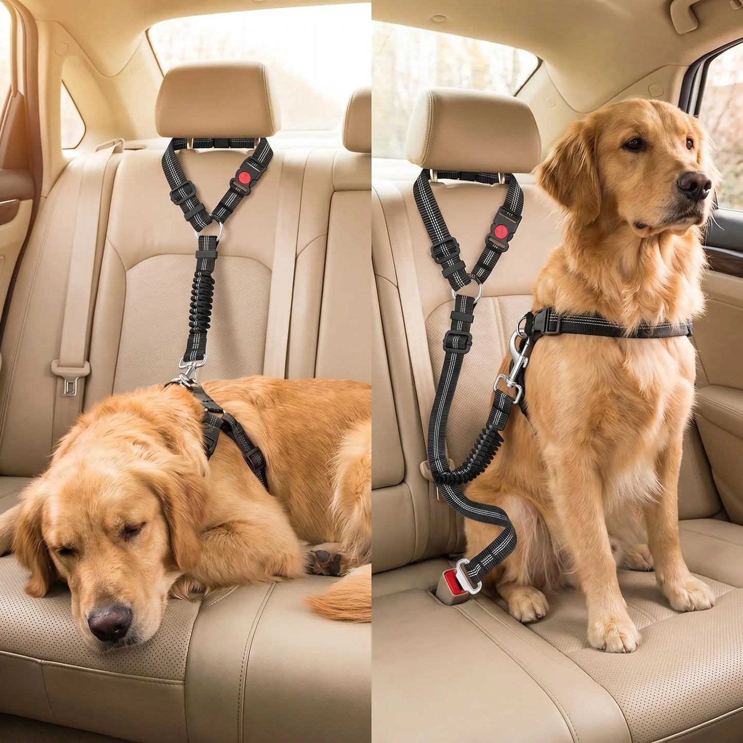 Dog Car Seat Belt – Dual Secure Headrest and Metal Buckle Pet Safety Restraint with Shock Absorbing Bungee
