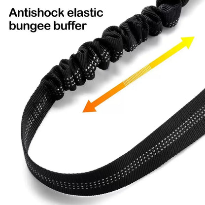 Dog Car Seat Belt – Dual Secure Headrest and Metal Buckle Pet Safety Restraint with Shock Absorbing Bungee
