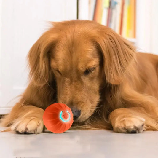 USB Rechargeable Interactive Dog Toy Ball - Automatic Bouncing Electronic Pet Plaything for Puppies, Ideal Birthday Gift