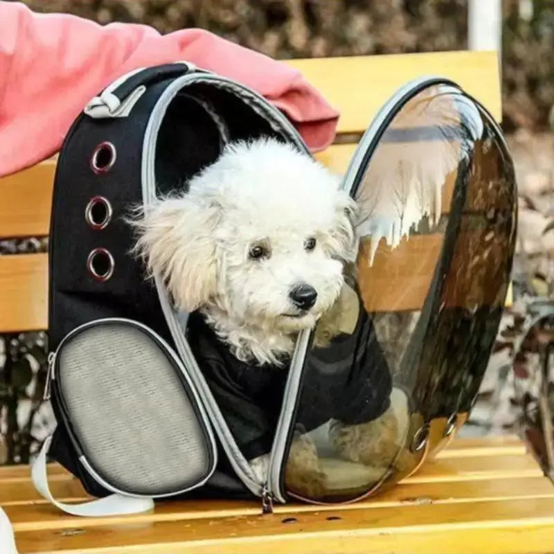 Portable Breathable Pet Carrier with Space Capsule Design, Dual Shoulder Travel Backpack for Dogs and Cats, Outdoor Pet Accessories