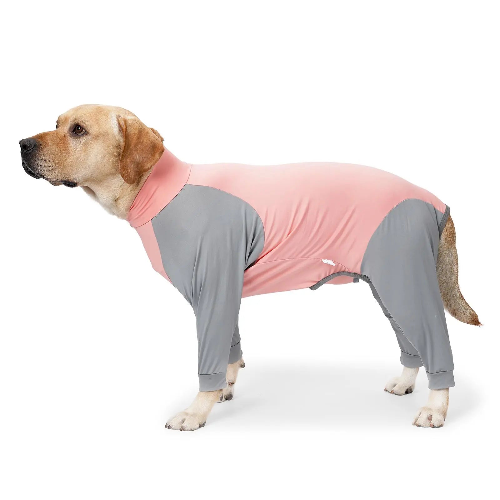 Dog Clothes, Breathable Dog Clothes, Comfortable Dog Clothes for Indoor Outdoor Wear