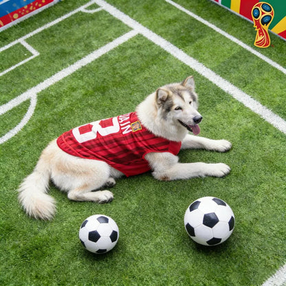2026 Soccer Cat Dog Football Breathable Mesh Jersey Dog Jersey Thin Cool Summer Pet Clothes T Shirt Puppy Soft Quick Dry Vest