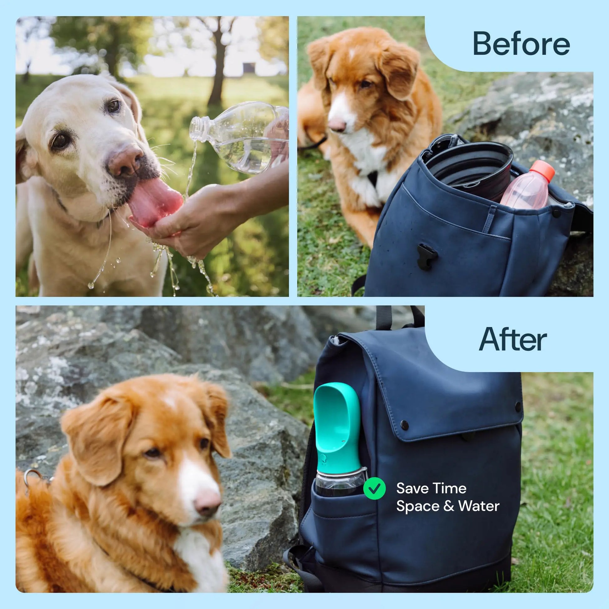 Portable Pet Water Bottle with Food Container for Dogs and Cats - Ideal for Hiking, Travel, and Outdoor Activities (19 Oz)