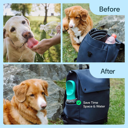 Portable Pet Water Bottle with Food Container for Dogs and Cats - Ideal for Hiking, Travel, and Outdoor Activities (19 Oz)