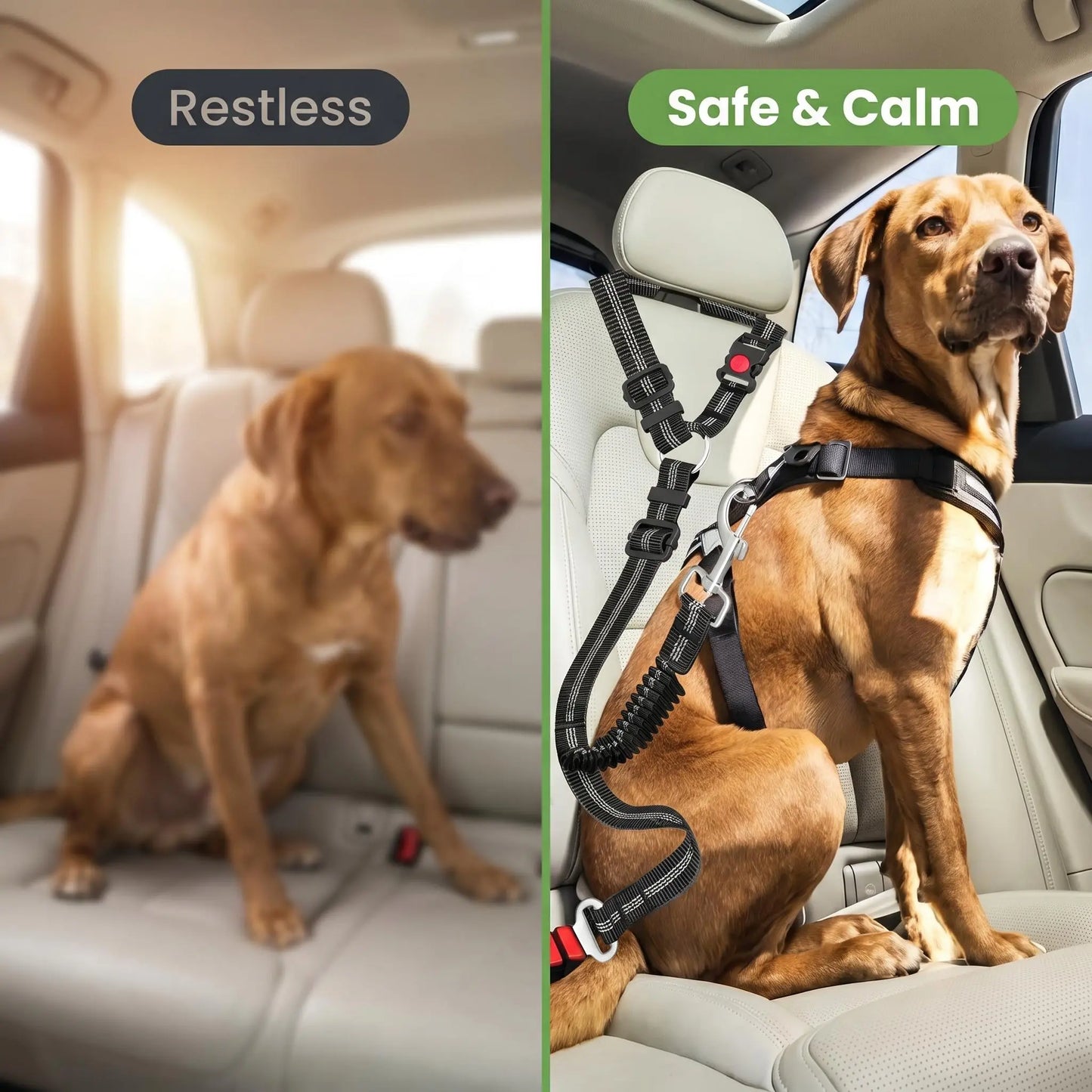 Dog Car Seat Belt – Dual Secure Headrest and Metal Buckle Pet Safety Restraint with Shock Absorbing Bungee