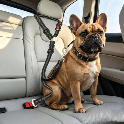 Dog Car Seat Belt – Dual Secure Headrest and Metal Buckle Pet Safety Restraint with Shock Absorbing Bungee