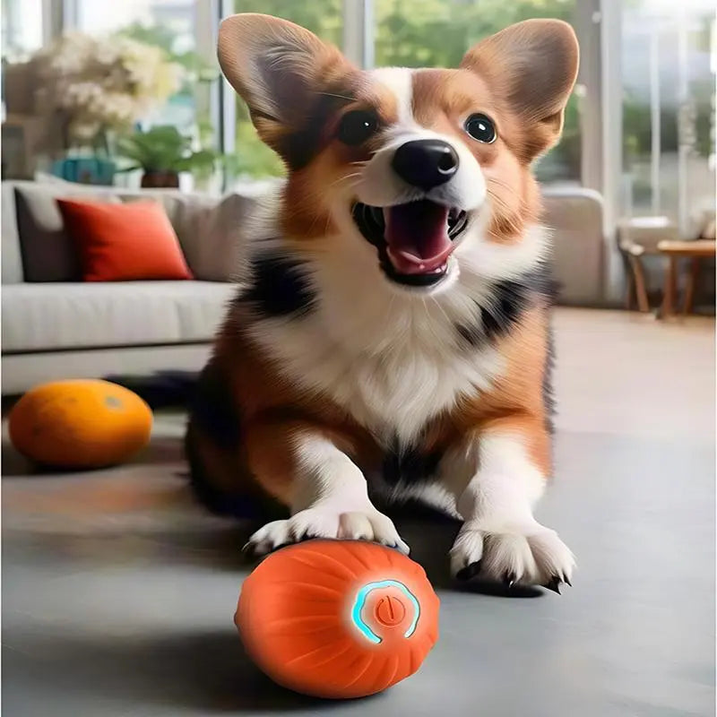 USB Rechargeable Interactive Dog Toy Ball - Automatic Bouncing Electronic Pet Plaything for Puppies, Ideal Birthday Gift